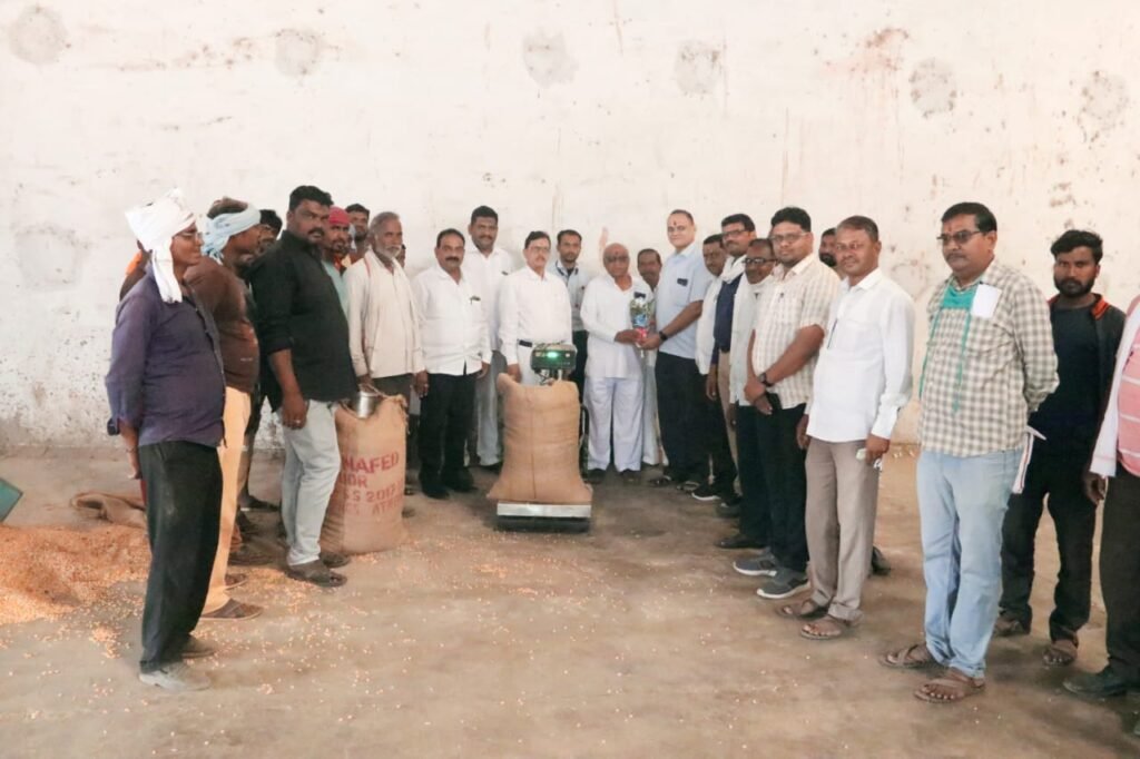 नाफेड व जिल्हा पणन महासंघ,पृथाशक्ती फार्मर प्रोड्यूसर कंपनी लिमिटेड अहमदनगर यांच्या संयुक्त विद्यमाने मका खरेदीस सुरु