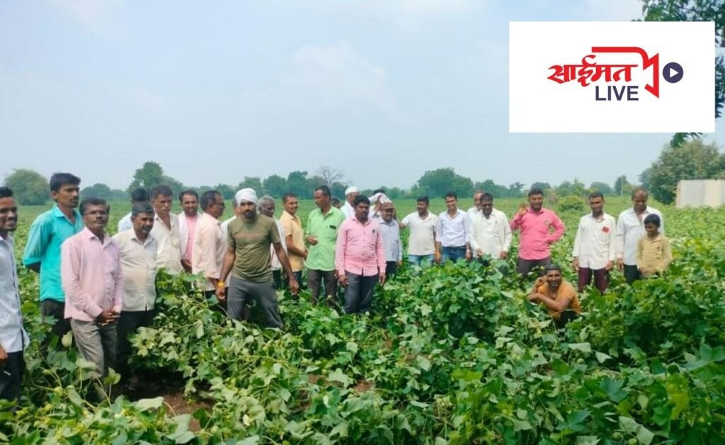 वादळी वाऱ्यात झालेल्या शेती पिकांच्या नुकसानीचे तातडीने पंचनामे करा जिल्हाधिकारी सुनील चव्हाण यांचे आदेश