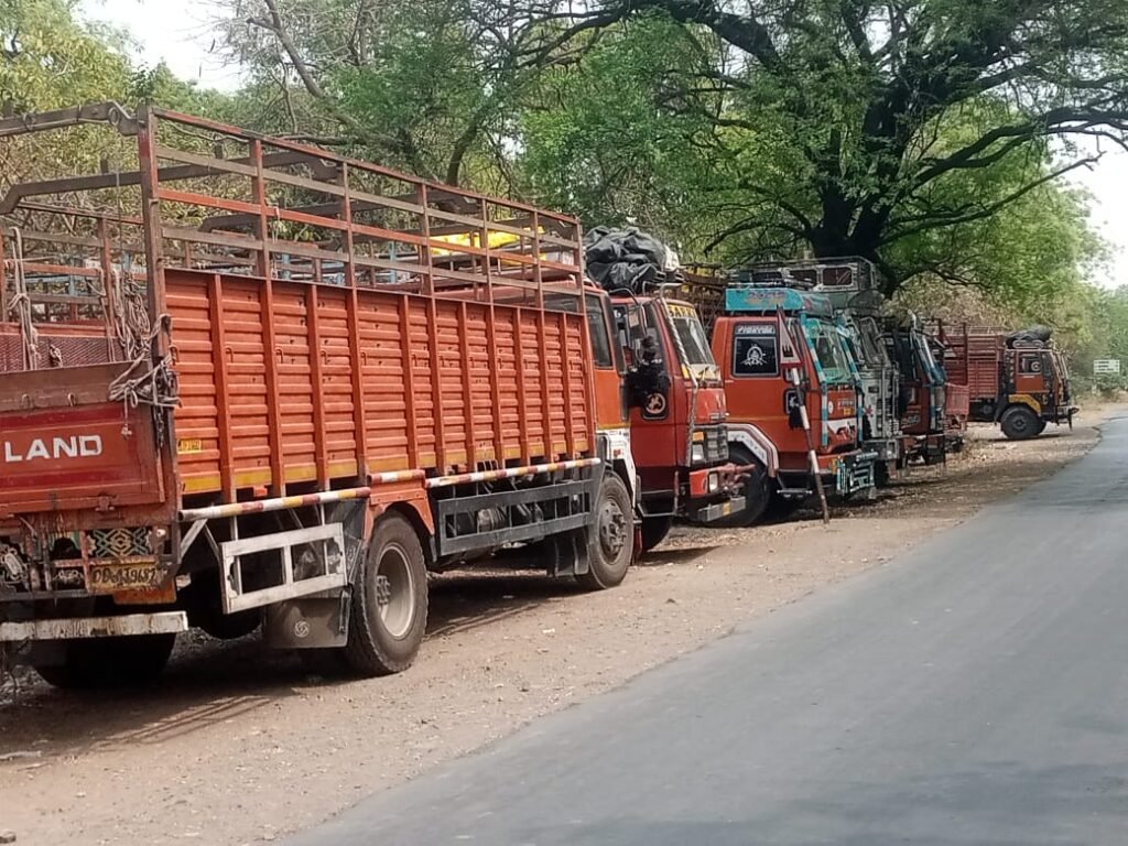 अवैधरित्या म्हशीची वाहतूक करणारे सहा ट्रक पकडले