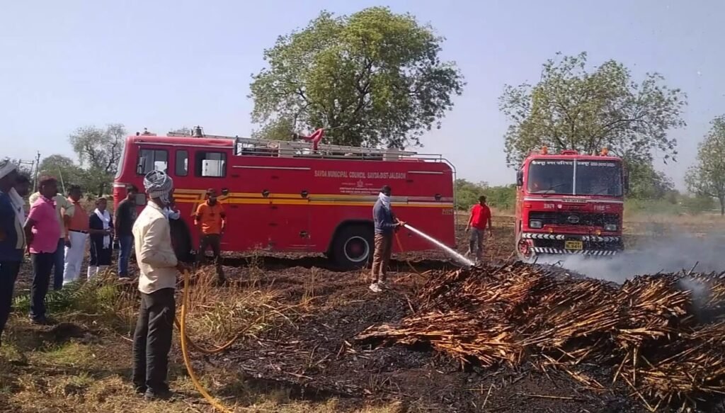 वीज महावितरणच्या गलथान कारभारामुळे गहू आगीत खाक