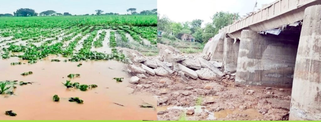 बोहर्डी शिवारातील शेतकऱ्यांच्या शेती पिकांचे नुकसान