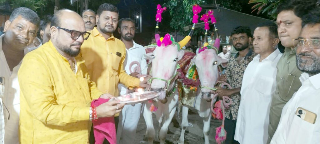 यांत्रिकीकरणाच्या काळातही बैलांचे वैभव जपणाऱ्या बळीराज्यांचे पालकमंत्र्यांनी केले कौतुक