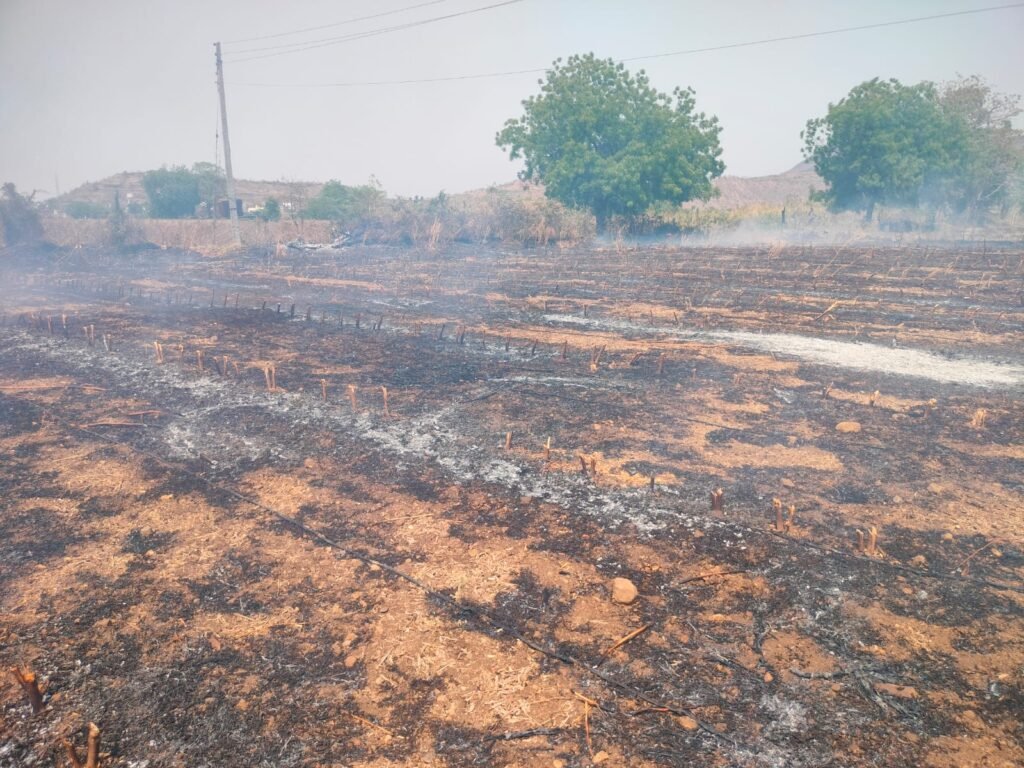 Soygaon : शॉर्ट सर्किटने शेताला लागली आग;-ठिबक संच जळून खाक-जरंडीत घटना