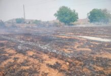 Soygaon : शॉर्ट सर्किटने शेताला लागली आग;-ठिबक संच जळून खाक-जरंडीत घटना