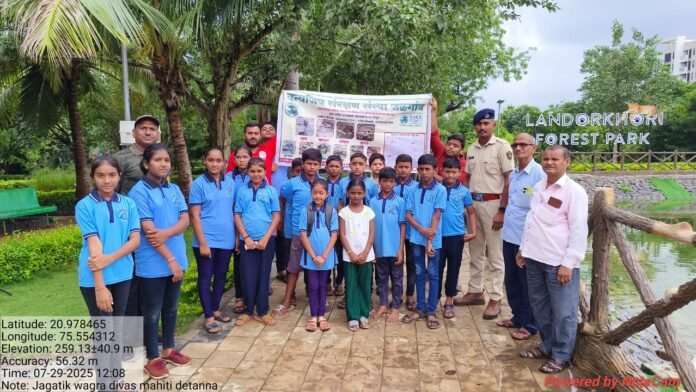 WhatsApp Image 2025-07-29 at 2.46.32 PM