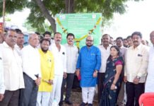 पाळधी-खोटेनगर, कालिंका माता-तरसोद महामार्गाचे काम मार्चपर्यंत पूर्ण होणार : पालकमंत्री