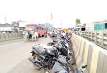 Bridge on National ; राष्ट्रीय महामार्गावरील पूल बनला चक्क ‘पार्किंग’ ठिकाण