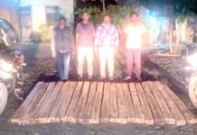 In Forest Department ; यावल वनविभागात ५१ हजार रुपयाचे सागाचे चौपाट जप्त