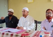 Tree Cutting : “‘दैनिक साईमत’च्या वृत्ताची दखल; वृक्षतोड प्रकरणात नवा ट्विस्ट!”