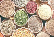 Kharif Season In The District : जिल्ह्यात खरीप हंगामासाठी १७ भरडधान्य खरेदी केंद्र