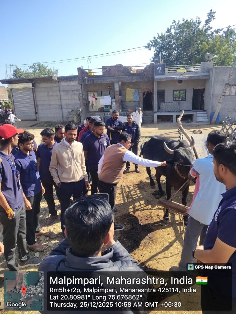 Jamner: Vaccination of animals on the occasion of Malpimprit Kisan Week