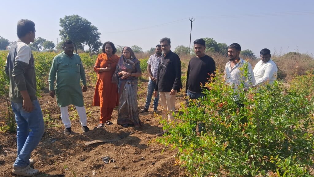 Amalner: Scientists inspect tree plantation of Dahiwad Gram Panchayat