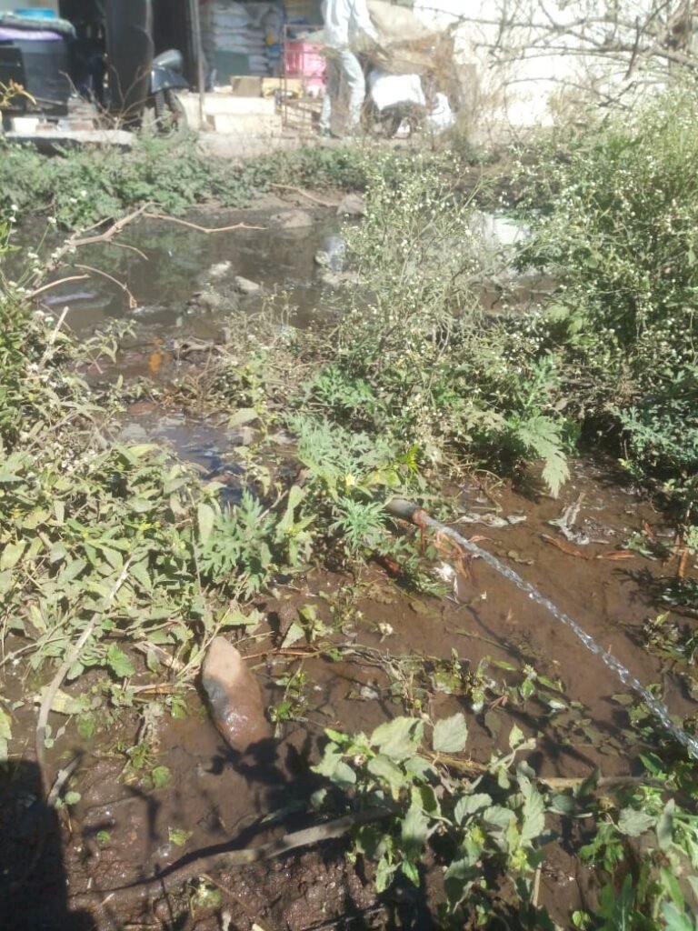 Jalgaon: Villagers in Raipur are troubled, Gram Panchayat is happy