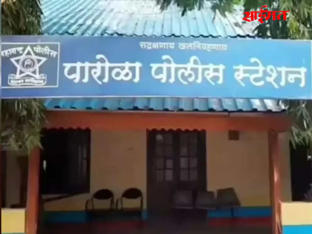 Parola: Brothers seize property against mother, ignoring inheritance rights