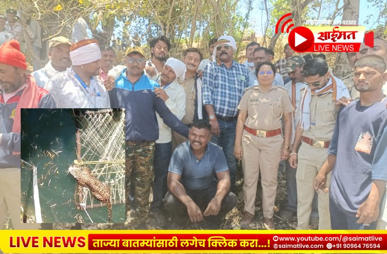 शिवापूर शिवारात बिबट्याला सुरक्षित वाचवण्यात वनविभागाला यश leopard rescue Chalisgaon Shivapur well incident
