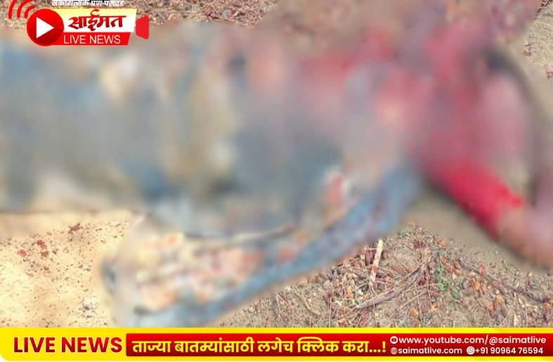 Jalgaon : नशिराबादमध्ये पतीकडून कोयत्याच्या वारांनी पत्नीचा जीव घेतला