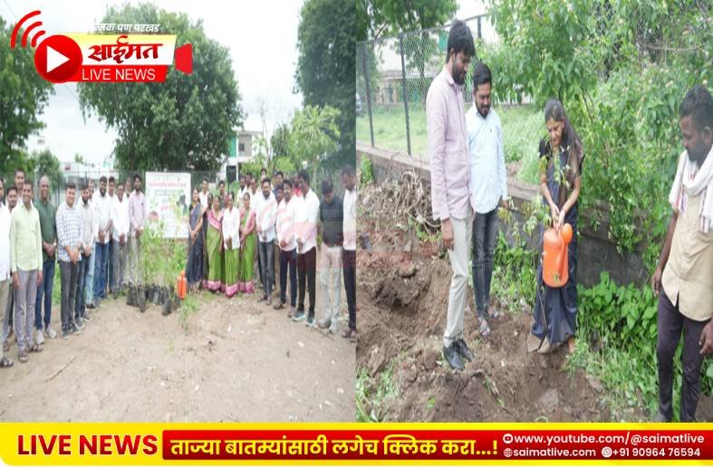 चाळीसगावच्या हरितीकरणाला वेग; सहा हजारांहून अधिक वृक्षांची लागवड होणार
