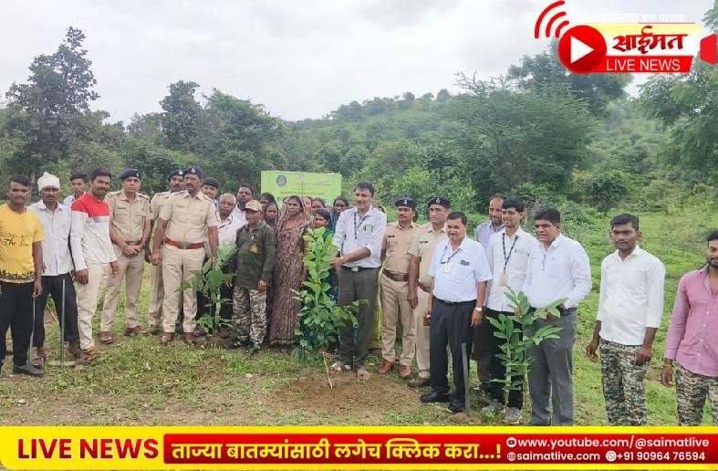 राखीव वनक्षेत्रात ५०० रोपांची लागवड आणि ३ हजार ‘सीड्स बॉल’ची पेरणी; गांधी रिसर्च फाउंडेशन व वन विभागाचा उपक्रम